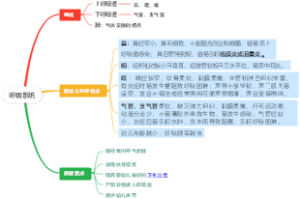 呼吸系统