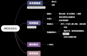 其他加成反应