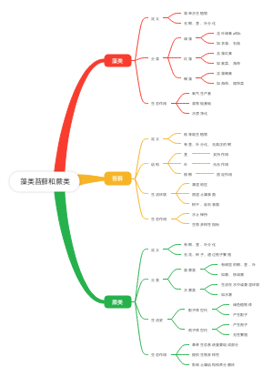 藻类苔藓和蕨类