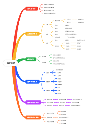 循环系统