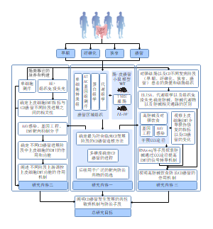 技术路线图