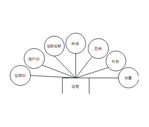 宠物E-R实体图