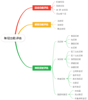神经功能评估