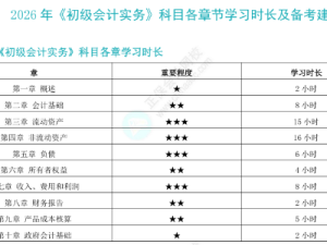 初级会计师实务