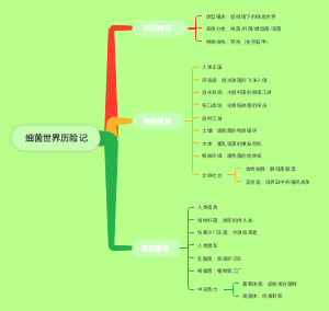 细菌世界历险记