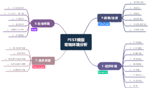 PEST模型宏观环境分析