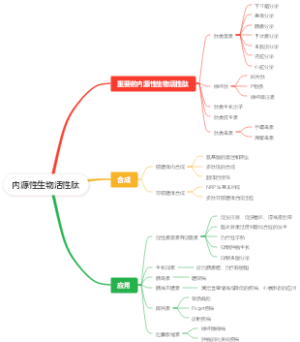内源性生物活性肽
