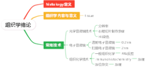 组织学绪论