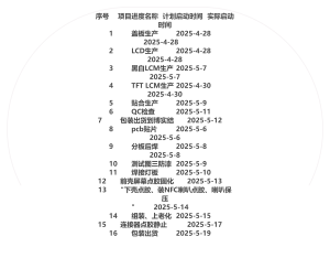 序号项目进度名称计划启动时间实际启动时间