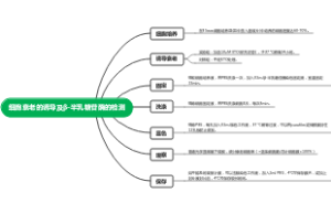 细胞衰老的诱导及β-半乳糖苷酶的检测