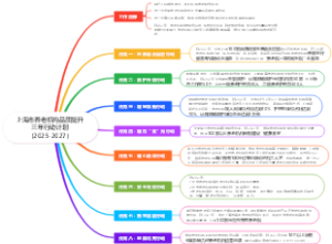 上海市养老机构品质提升三年行动计划（2025-2027）