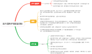 肠内营养护理质量评价
