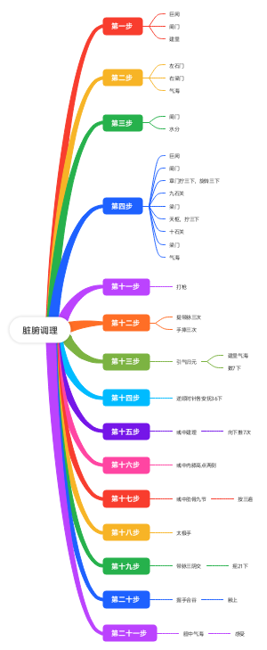 脏腑调理