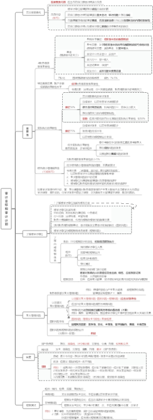2025CPA综合-审计目标和审计计划