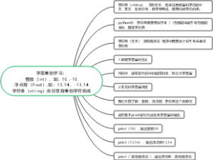 字面量的学习