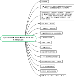 Python中的变量