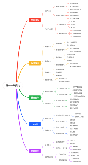 初一 一年规化