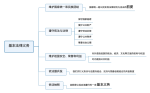 基本法律义务