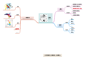 运动项目分类