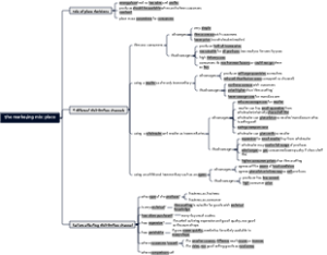The marketing mix place