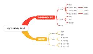 循环系统与物质运输