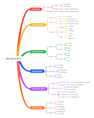 我的心爱之物羽毛球