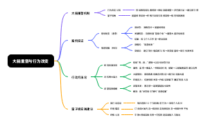 大脑重塑与行为改变