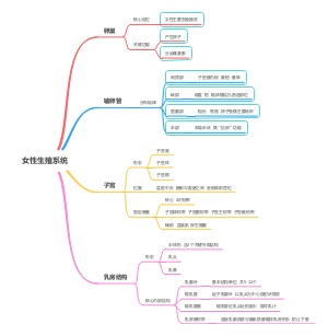 基础医学作业