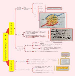 第一章人体的内环境与稳态