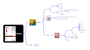 《思维导图》