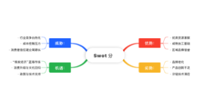 Swot 分析