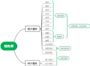 植物分类