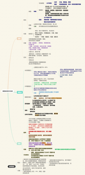 整合教材《医学分子细胞遗传基础》-细胞的结构与功能