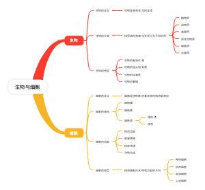 生物与细胞