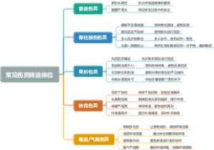 常见伤员转运体位