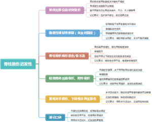 脊柱损伤迟发性