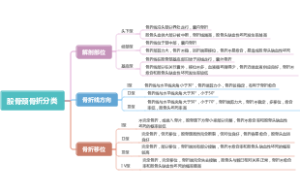 股骨颈骨折分类