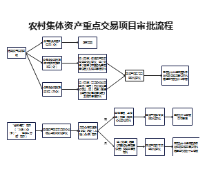 农村集体资产重点交易项目审批流程