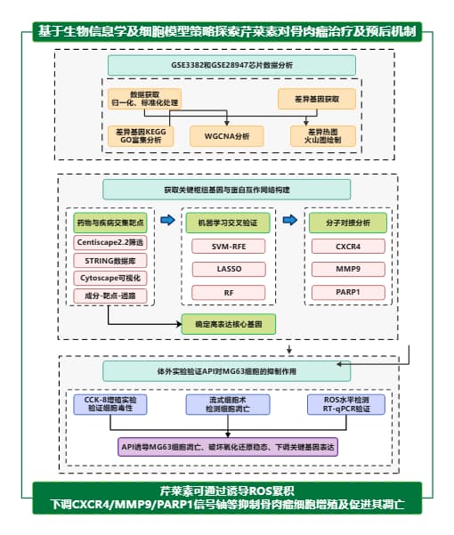 毕业论文技术路线示意图