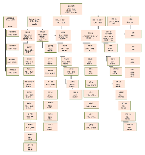 金牛分公司架构图