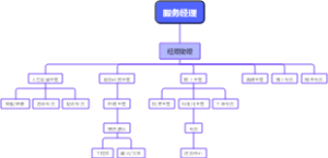 服务经理组织结构图