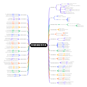 常用的解剖学术语