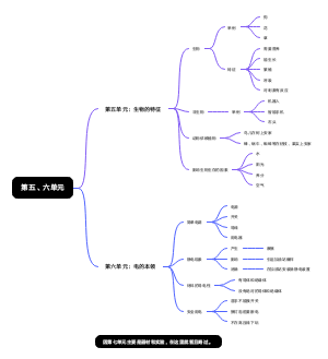 四年级下册科学（青岛版2019）第五、六单元