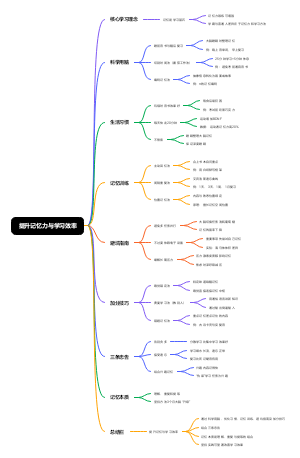 提升记忆力与学习效率