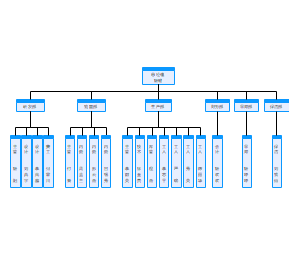 企业组织架构图