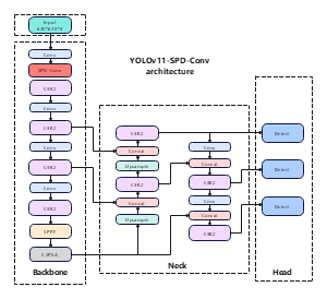 YOLOv11-SPD-Conv
architecture