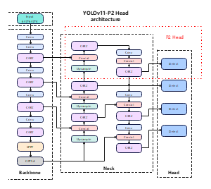 YOLO11-P2 Head