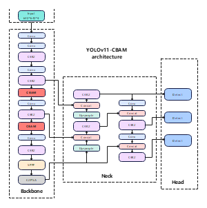 YOLOv11-CBAM architecture