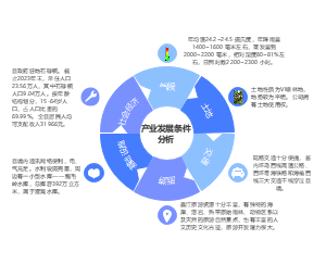 产业发展条件分析