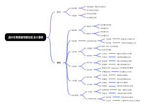 高中生物思维导图